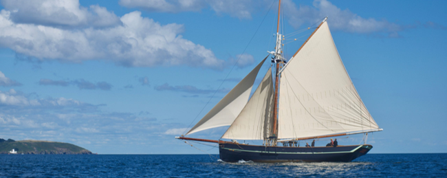 Cutter o Cúter