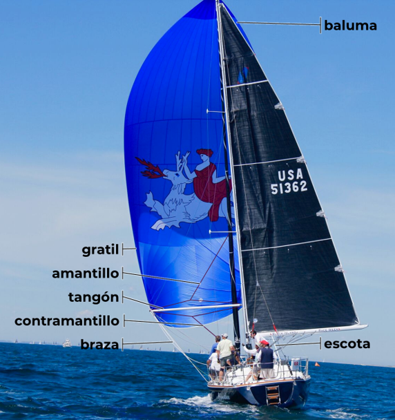 Spinnaker