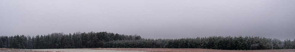 Stratus