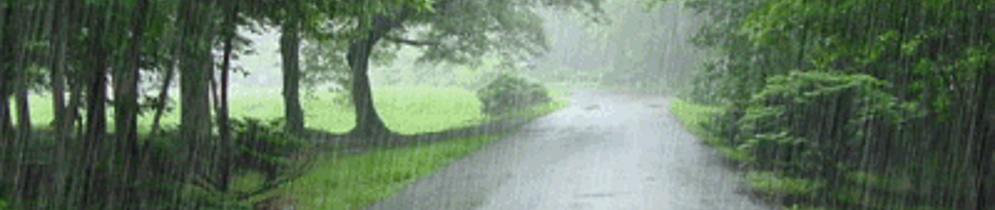 Niebla de lluvia