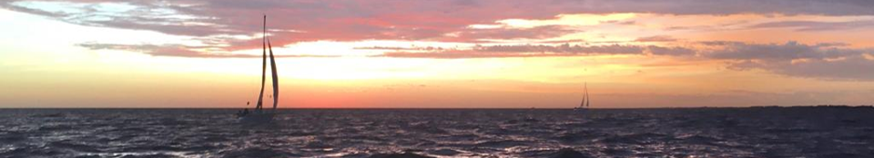 Mire el Horizonte